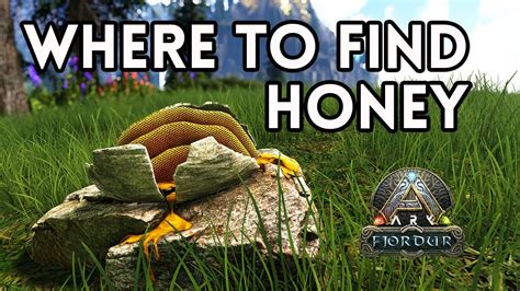 Where to find giant bee honey ark fjordur. Aug 11, 2017 · How to Tame Bees in ARK - Preparation Before you head off to tame bees in ARK: Survival Evolved, be sure to come prepared with items such as a long-range weapon and a flying mount. Considering how small they are, the process you have to undertake to find and tame your own swarm of bees in ARK: Survival Evolved is surprisingly complex. Before ... 
