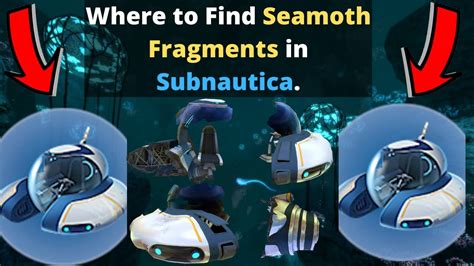Where to find seamoth fragments. #1 Retroburn Jul 3, 2017 @ 4:58am Originally posted by NiccoNiccoN: Thank you! Could you also tell me, where do I find the fragments for the multipurpose room? I've looked in mushroom biomes, and someone somewhere suggested looking on the south east side of the Aurora, but I couldn't find any fragments in either of those places. 