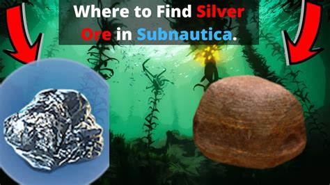 Where to find silver ore subnautica. Things To Know About Where to find silver ore subnautica. 