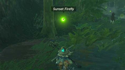 Where to find sunset fireflies totk. Frostbite Headdress location. You can find the Frostbite Headdress inside the Lake Kilsie Cave at the coordinates (-3930, 2859, -0015), at the northern end of Lake Kilsie. The location is found ... 