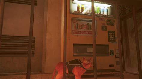 Where to find the Stray Energy drinks and vending machines TechRadar