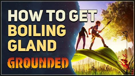 Where to get boiling gland grounded. How to get boiling glands in Grounded. Grounded is a popular survival game that challenges players to navigate their way through a backyard that has become larger than life. In this game, players are shrunk down to the size of an ant and must scavenge for resources to survive. One of the most important resources in Grounded is the Boiling Gland. 