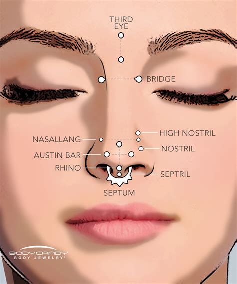 Where to get my nose pierced near me. Things To Know About Where to get my nose pierced near me. 