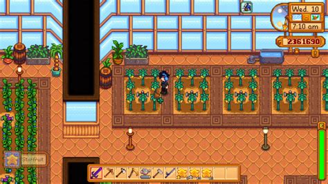 Where to get starfruit stardew valley. Void Salmon can only be caught in the Witch’s Swamp. It is near the Spa in the underground, unlocked after you have completed the “Dark Talisman” Quest. Although its spawn is limited, you can catch it during all Seasons, times of day, and any weather. However, catching one is pretty tricky, no thanks to its 80 Difficulty Score. 