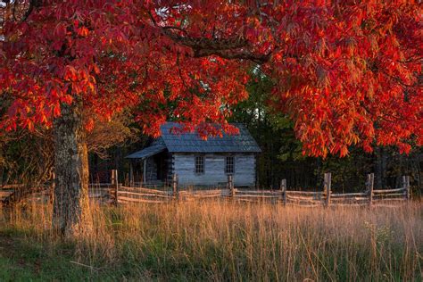 Where to see fall foliage in the South - 10Best