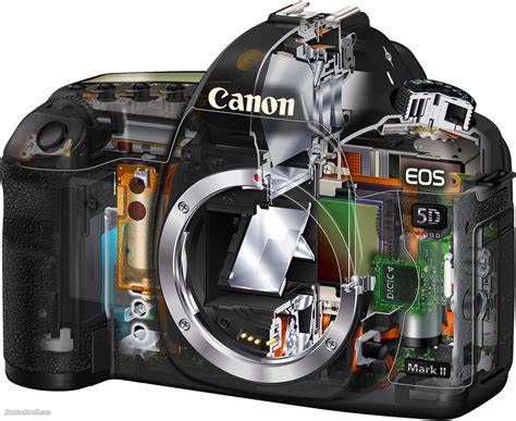 Where to send canon camera for repair. - I reati nella legislazione sulla stampa.