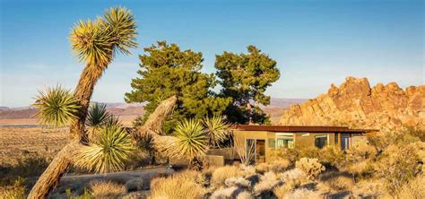 Where to stay in joshua tree. Feb 8, 2024 · The City of Joshua Tree is one of the most popular places to stay for those visiting Joshua Tree National Park. This city has many local hotels and motels for setting up a base camp. Other options for lodging include private rental homes. Joshua Tree is very close in proximity to the national park and takes only a short 2-minute drive. 