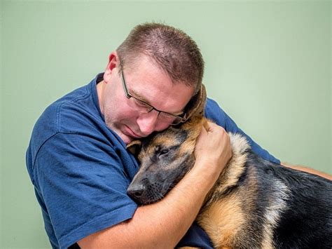Where to surrender my dog. Things To Know About Where to surrender my dog. 