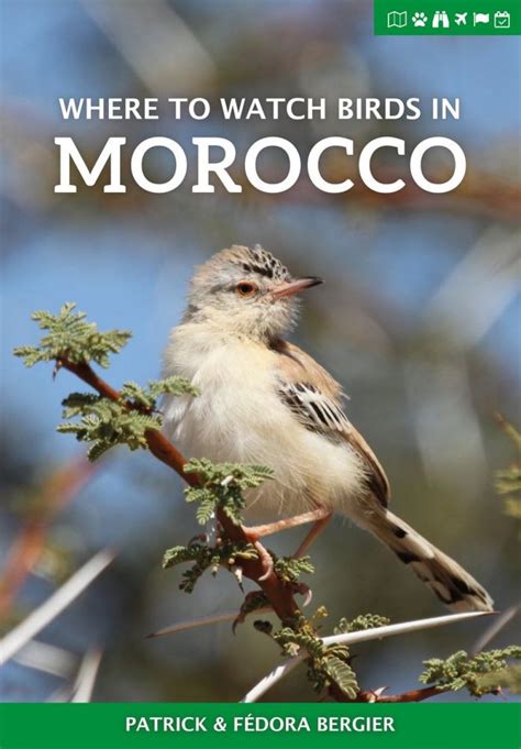 Where to watch birds in morocco where to watch guides. - Practical guide to new ifrs 9.