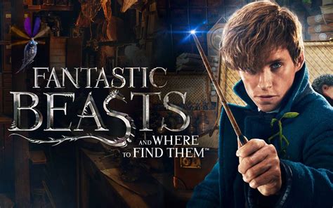 Where to watch fantastic beasts. Nov 18, 2016 · Fantastic Beasts and Where to Find Them: Directed by David Yates. With Eddie Redmayne, Sam Redford, Scott Goldman, Tim Bentinck. The adventures of writer Newt Scamander in New York's secret community of witches and wizards seventy years before Harry Potter reads his book in school. 