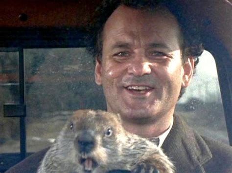 Grumpy meteorologist Phil Connors lives the same day over and over after he arrives in the town of Punxsutawney for the annual Groundhog Day festivities. Watch trailers & learn more.