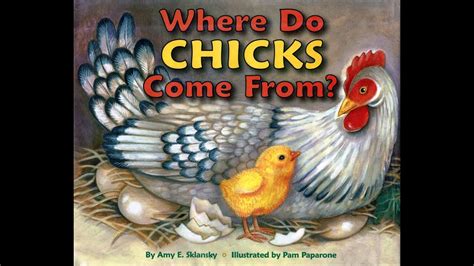Read Where Do Chicks Come From By Amy E Sklansky