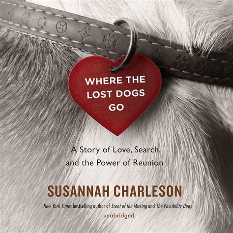 Read Online Where The Lost Dogs Go A Story Of Love Search And The Power Of Reunion By Susannah Charleson