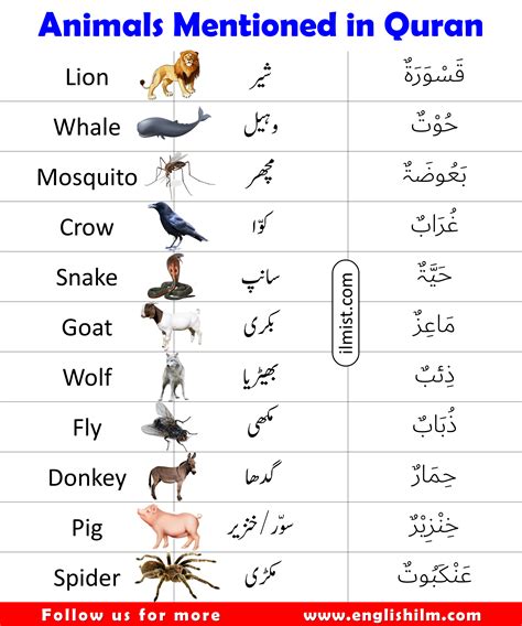 Which Animals Are Mentioned in the Holy Quran?