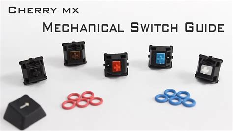Which Cherry MX mechanical switch is right for your keyboard 