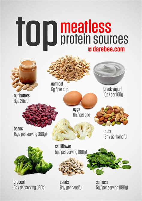 Which Foods Contain The Most Protein? Find Out Here