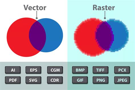 Which Graphic File Format is Best Vector and Raster Images Tell Your