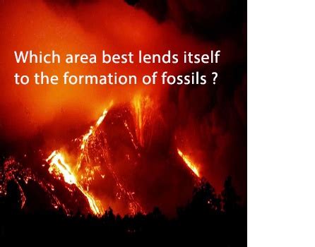 Which area best lends itself to the formation of fossils? A)
