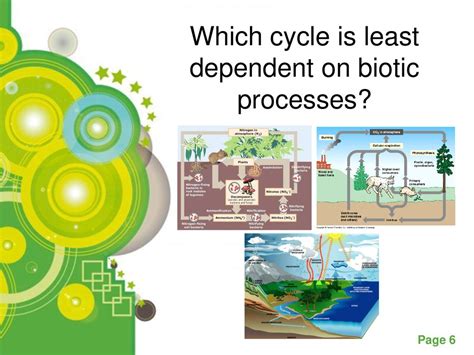 Which biogeochemical cycle is the least dependent on biotic ... - Quora