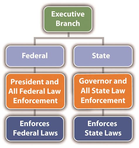 The executive branch is led by the president, who is the commander in chief of the military and responsible for signing or vetoing laws presented to them by Congress. The executive branch also includes the vice president, who is the president of the Senate and will take over if the president cannot perform his duties, as well as the Cabinet .... 