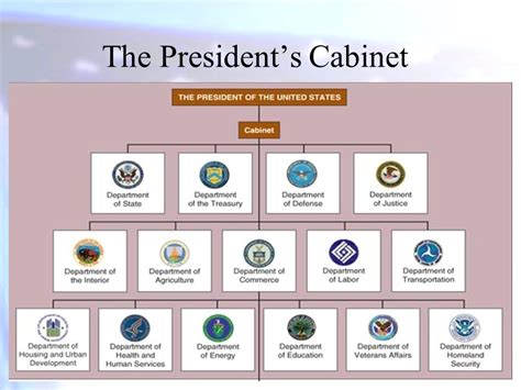 The executive branch carries out and enforces laws. It includes the president, vice president, the Cabinet, executive departments, independent agencies, and other boards, commissions, and committees. American citizens have the right to vote for the president and vice president through free, confidential ballots.. 