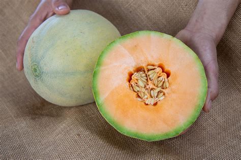 Which cantaloupes are the sweetest? - ecowries.dcmusic.ca