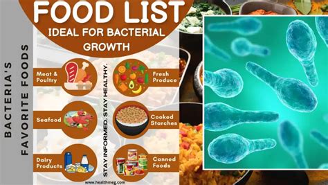Which food item is ideal for bacterial growth sour cream. Things To Know About Which food item is ideal for bacterial growth sour cream. 