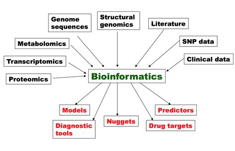 The primary goal of bioinformatics is to increase the understanding of biological processes. What sets it apart from other approaches is its focus on developing and applying computationally intensive techniques to achieve this goal. Examples include: pattern recognition, data mining, machine learning algorithms, and visualization.. 