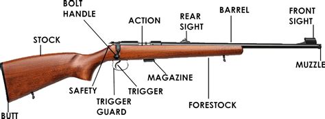 • loads and fires ammunition • ejects the spent case Stock: • serves as a platform for supporting the action and barrel and is held by the shooter Barrel: • That part of a firearm through which a projectile or shot charge travels under pressure from burning gunpowder, compressed air or other like means. A barrel may be. 