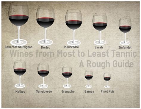 Which red wines have the biggest tannins? Include grape, age ... - Quora