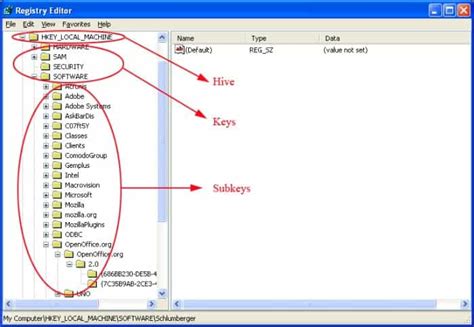 Which registry hive contains information about computer hardware. .  <a href=https://mercer...