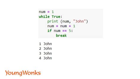 While true python.  Then loop back to the top, check the test again, and so o...