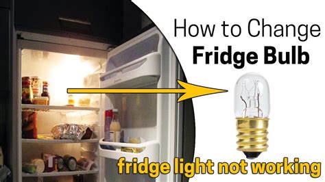 Is your refrigerator's light not working? This video provides information on how to troubleshoot a leaking refrigerator and the most likely defective parts a.... Whirlpool refrigerator light not working