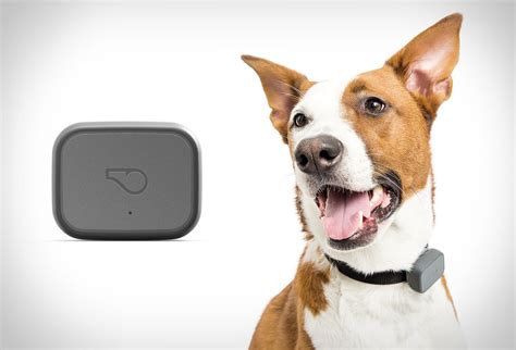 Whistle dog tracker. Whistle Go Explore 2.0 is a device that tracks your dog's location, activity, health and more. It works with AT&T network and has a rechargeable tag, but some … 