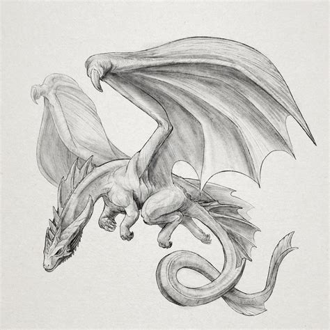White Dragon Drawing