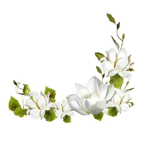 White Flores  Yuxi