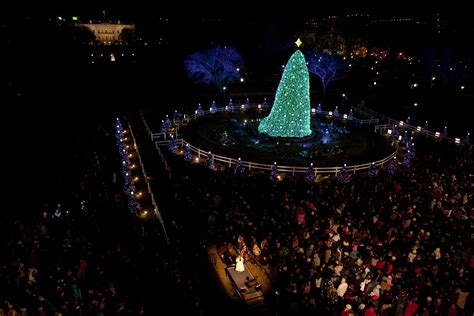 White House Christmas tree shines bright at lighting ceremony