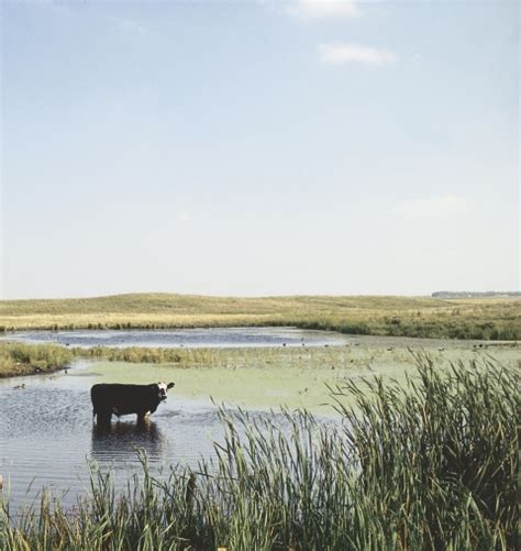 White Lake National Wildlife Refuge - Wikipedia