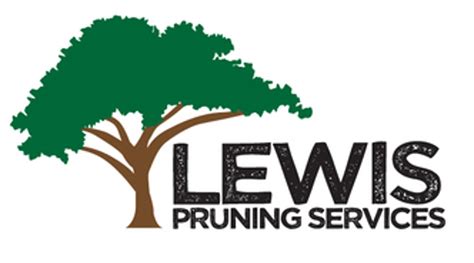 White Lewis  Puning