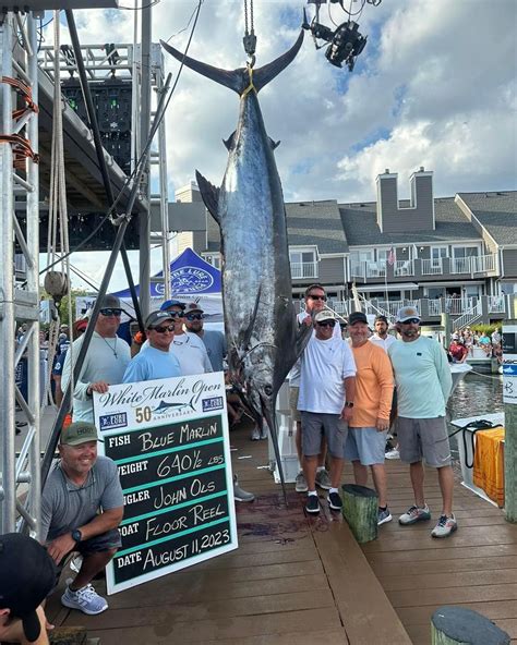 White Marlin Open News