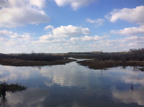 White Oak Creek WMA: Hunting