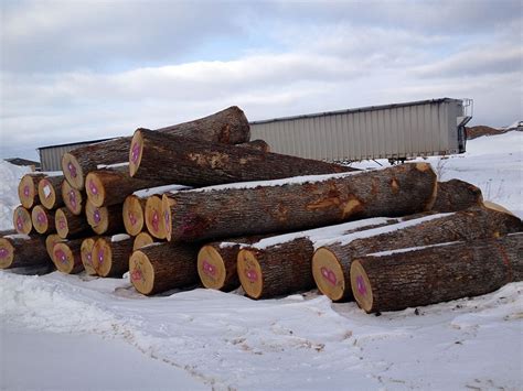 White Oak Log Prices 2022