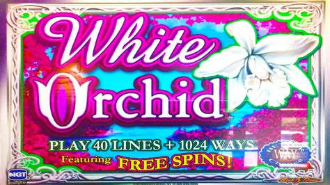 White Orchid Slot Machine Play Slot Game for Free - Slotozilla