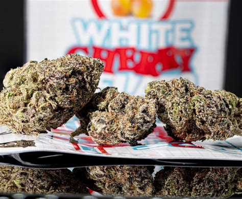 White dulce strain. Pain. Cherry Icee is a hybrid weed strain made from a genetic cross between unknown parent strains. This strain is 45% sativa and 55% indica. Cherry Icee is 12.5% THC, making this strain an ideal ... 