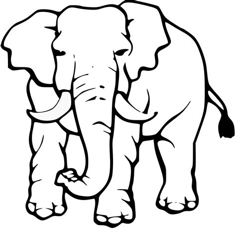 White elephant clipart. Things To Know About White elephant clipart. 