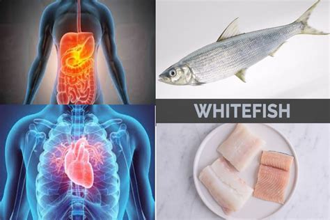 White fish: list of species and properties - Consum