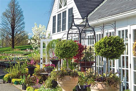White flower farm ct. White Flower Farm is a family-owned mail-order nursery located in northwestern Connecticut. Since 1950 we have provided a wide range of ornamental and edible plant varieties, along with gift ideas ... 