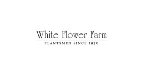 White flower farm promo code. White Flower Farm &bullet; 1-800-503-9624 White Flower Farm is a family-owned mail-order nursery located in northwestern Connecticut. Since 1950 we have been providing a wide range of perennials, annuals, bulbs, shrubs, vines, amaryllis, gardening tools & supplies, and gifts for gardeners. 