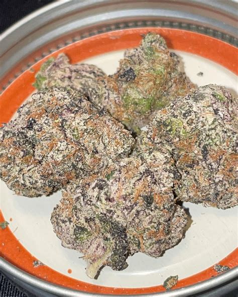 Dolato, also known as "Do-Si-Lato" and "Dosi-Lato," is an indica marijuana strain made by crossing Do-Si-Dos with Gelato #41. Dolato has a beautiful range of colors in its colas—from light to ...