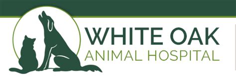 White oak animal hospital. Things To Know About White oak animal hospital. 